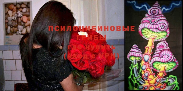 герыч Алзамай
