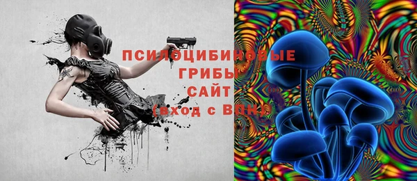 герыч Алзамай